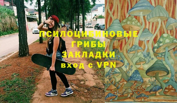 эйфоретик Майский