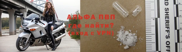 эйфоретик Майский