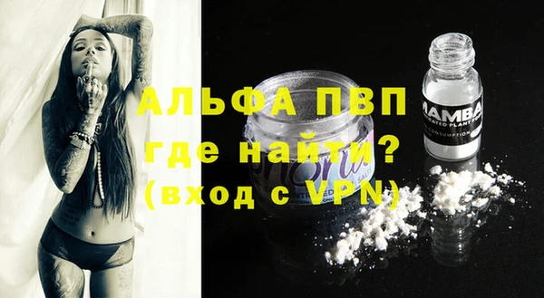 эйфоретик Майский