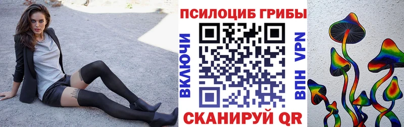 Псилоцибиновые грибы мицелий Чебаркуль