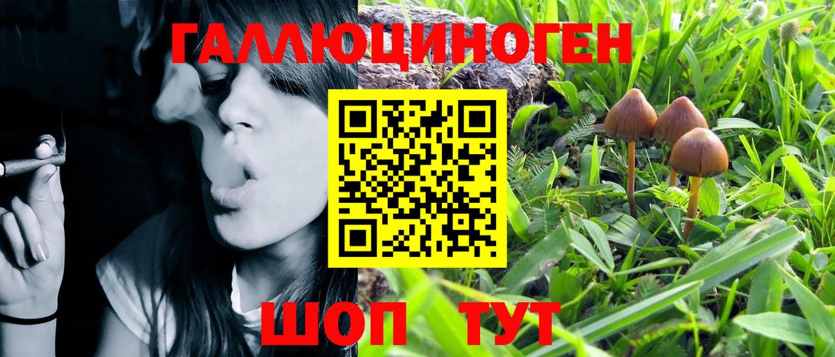Галлюциногенные грибы прущие грибы Чебаркуль