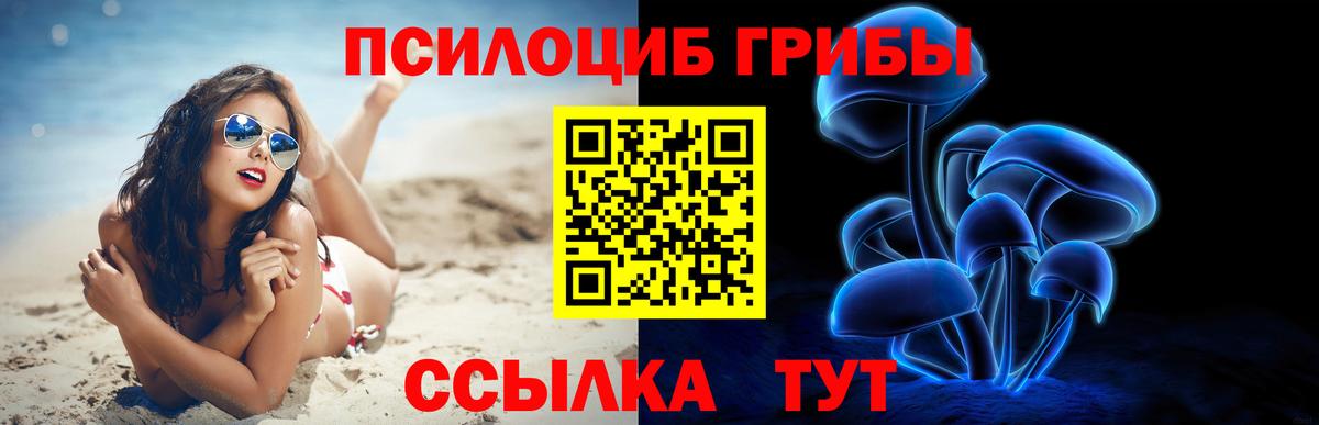 Псилоцибиновые грибы Magic Shrooms  Галлюциногенные грибы GOLDEN TEACHER  Чебаркуль  Вход с VPN 